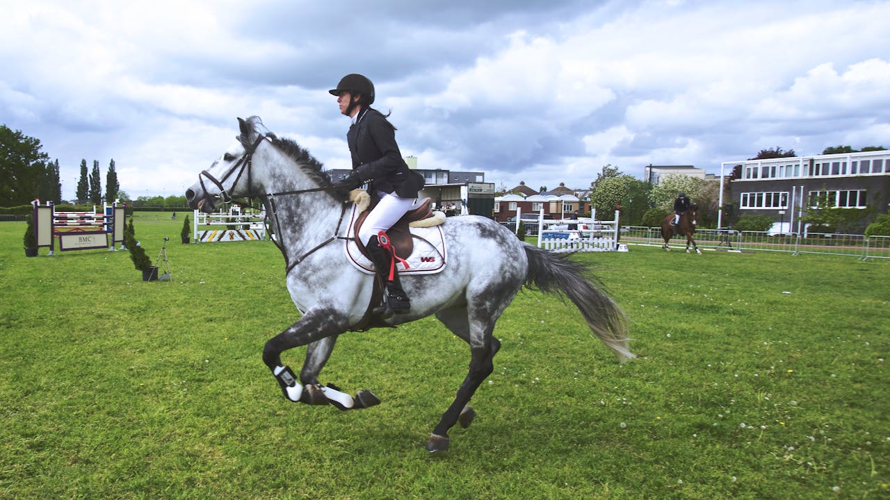 why-choose-us Rider on a gray horse performing show jumping outdoors. Captured action shot.