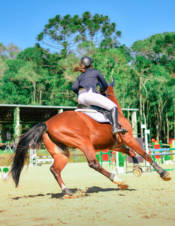 gallery-5 A skilled rider on horseback competing in an outdoor equestrian event.